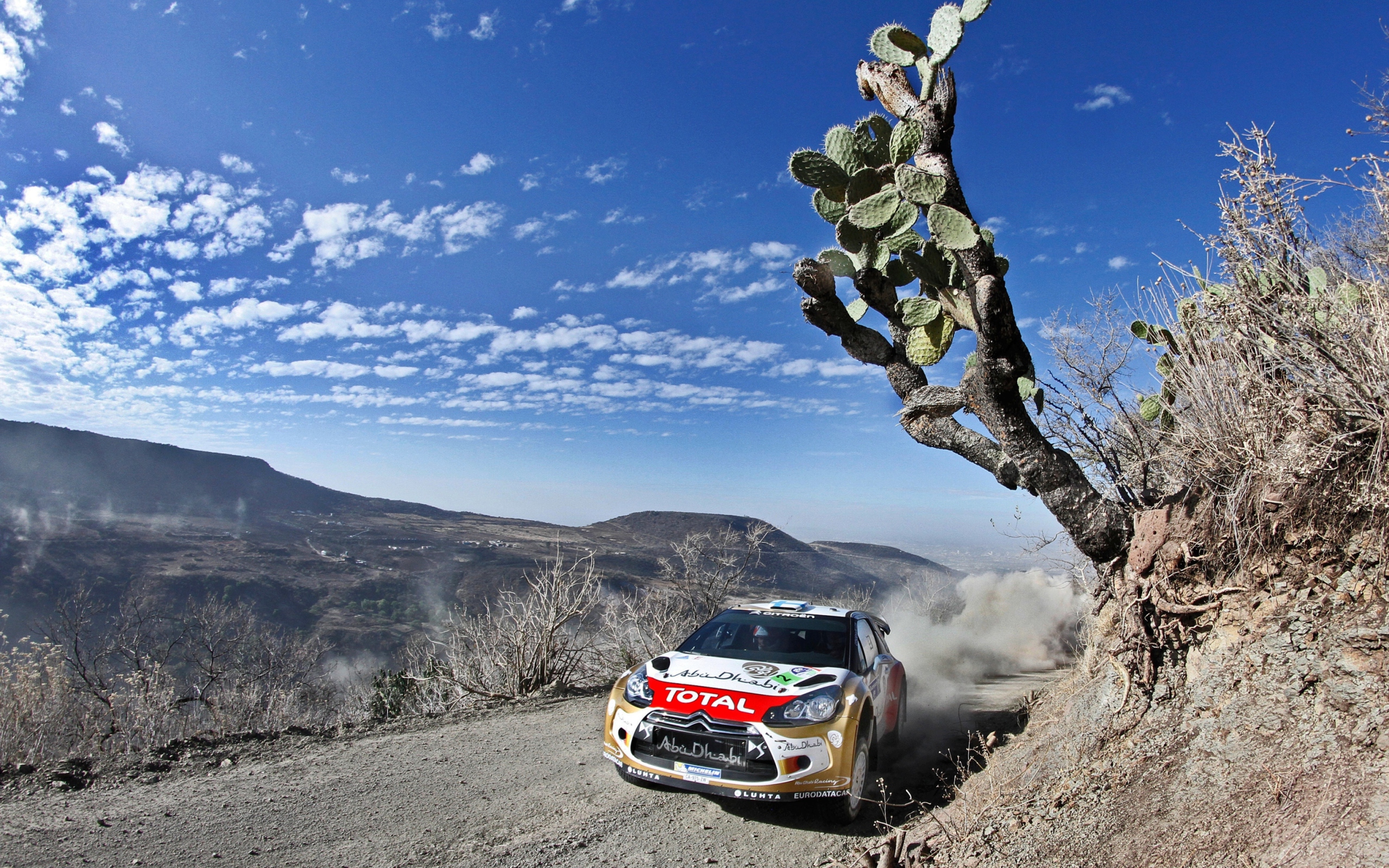 Citroen, DS3, Rally wallpaper 2560x1600