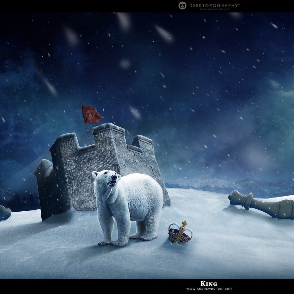 Screenshot №1 pro téma White Bear Polar King 1024x1024