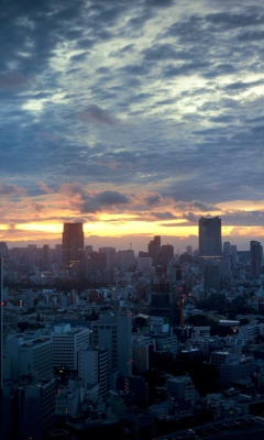Screenshot №1 pro téma Tokyo Sky 240x400