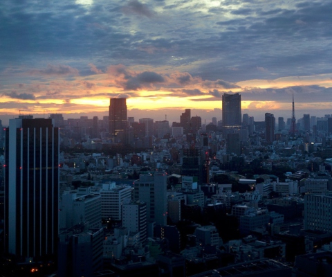 Screenshot №1 pro téma Tokyo Sky 480x400