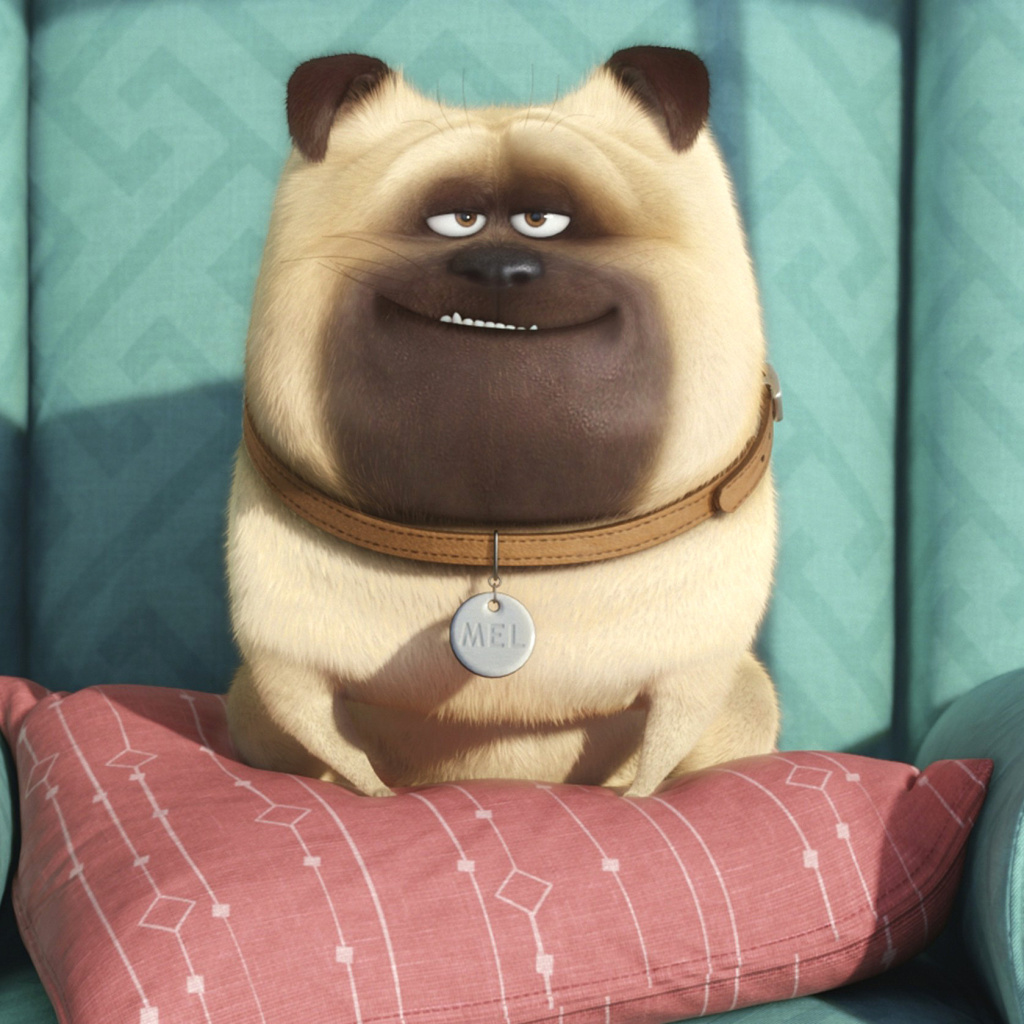 Screenshot №1 pro téma The Secret Life of Pets 1024x1024