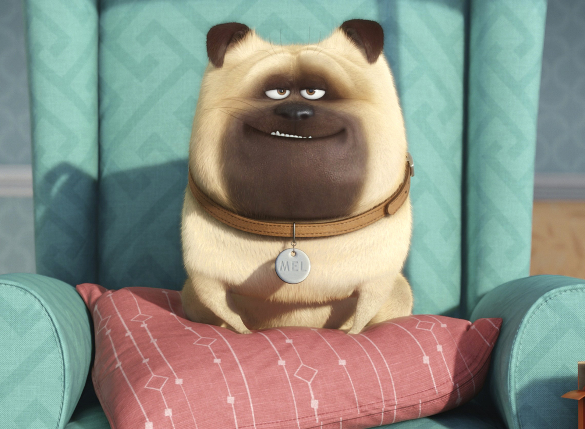 Screenshot №1 pro téma The Secret Life of Pets 1920x1408