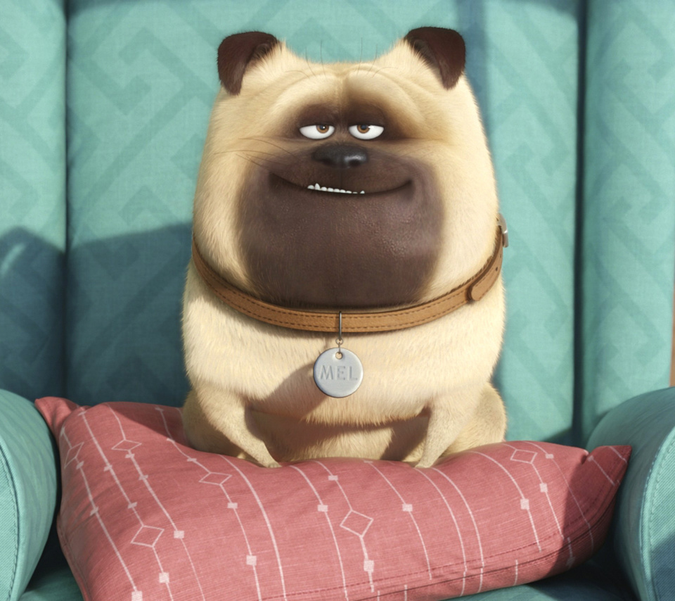 Sfondi The Secret Life of Pets 960x854