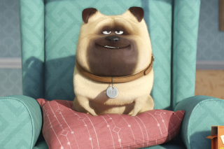 The Secret Life of Pets - Obrázkek zdarma pro Sony Xperia Tablet Z