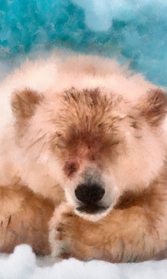 Sleeping Polar Bear wallpaper 240x400