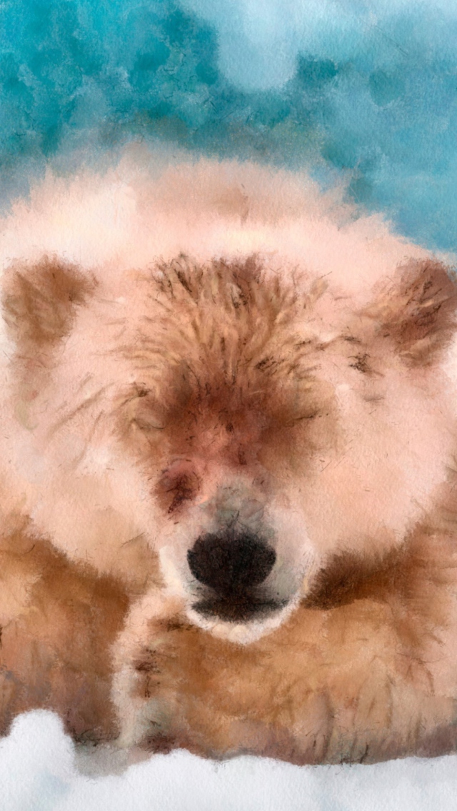 Sleeping Polar Bear wallpaper 640x1136