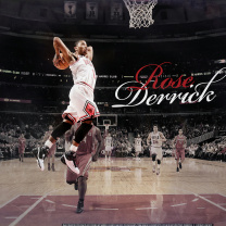 Fondo de pantalla Derrick Rose NBA Star 208x208