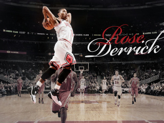 Das Derrick Rose NBA Star Wallpaper 320x240