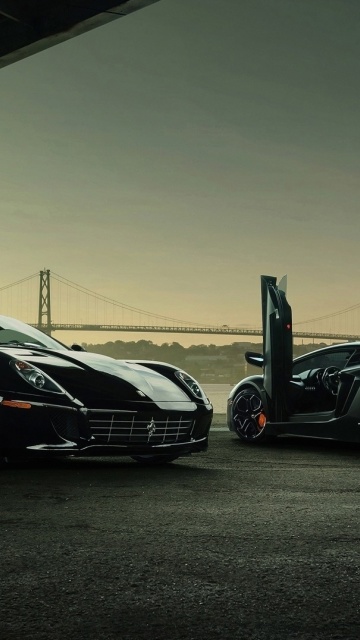 Lamborghini Aventador And Ferrari 599 GTB screenshot #1 360x640