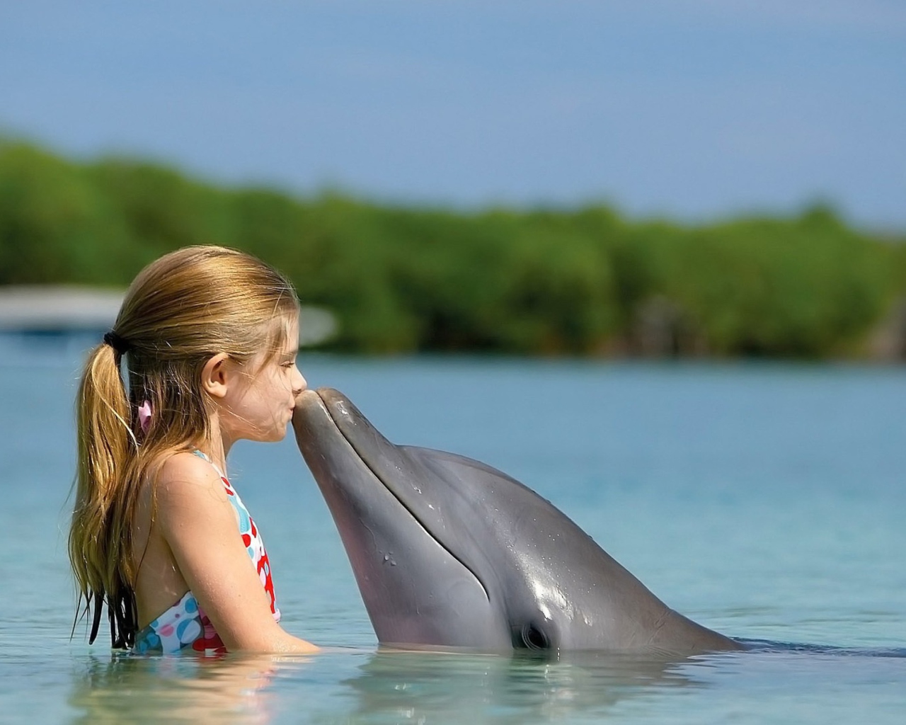 Das Dolphin's Kiss Wallpaper 1280x1024