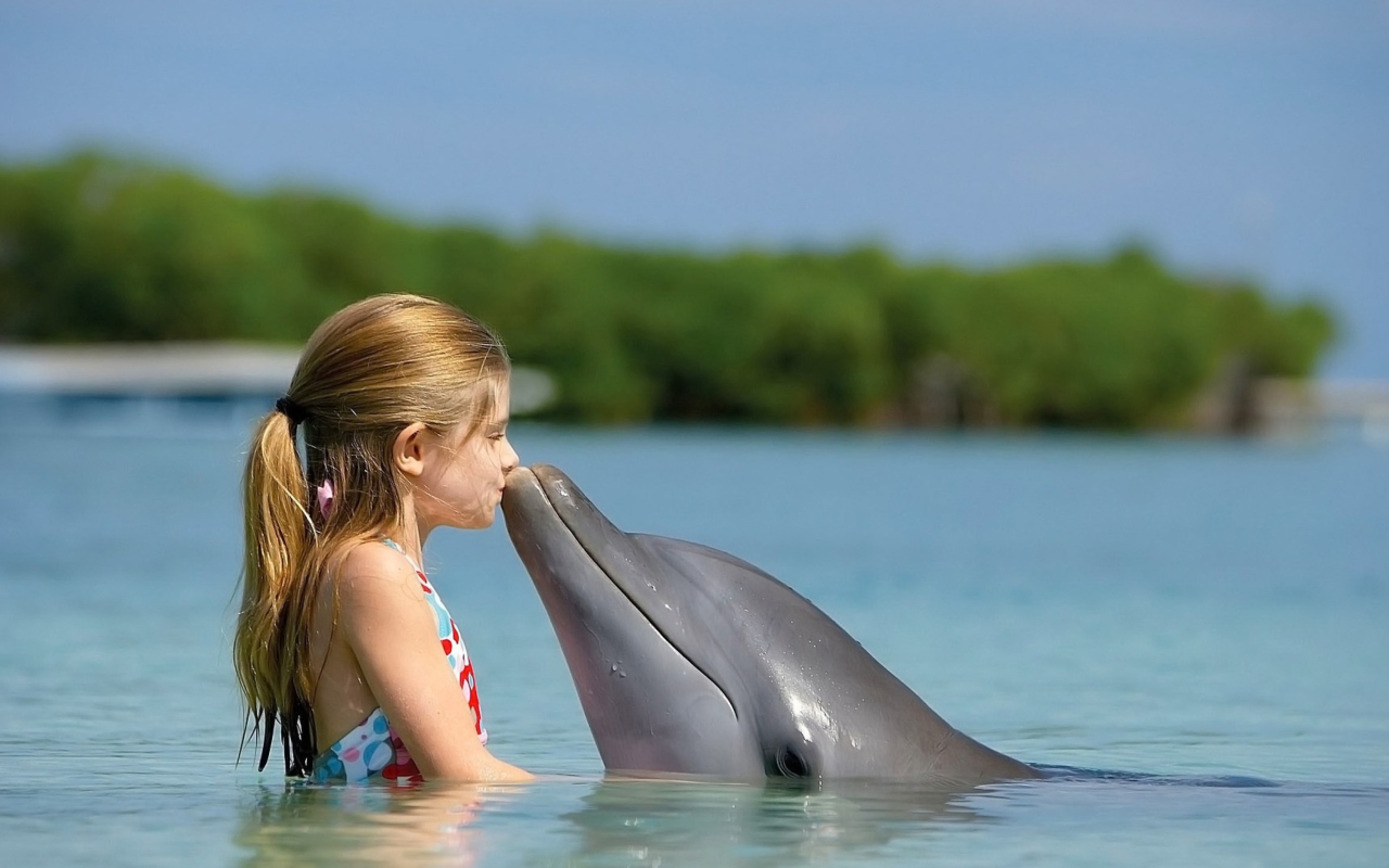 Обои Dolphin's Kiss 1280x800