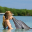 Sfondi Dolphin's Kiss 128x128