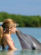 Sfondi Dolphin's Kiss 132x176