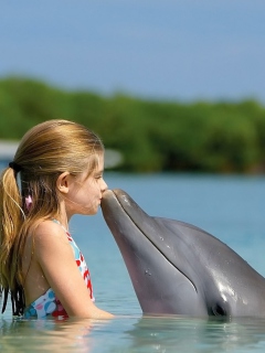 Обои Dolphin's Kiss 240x320
