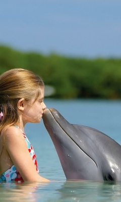 Fondo de pantalla Dolphin's Kiss 240x400