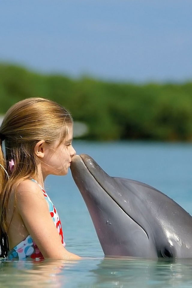 Sfondi Dolphin's Kiss 640x960