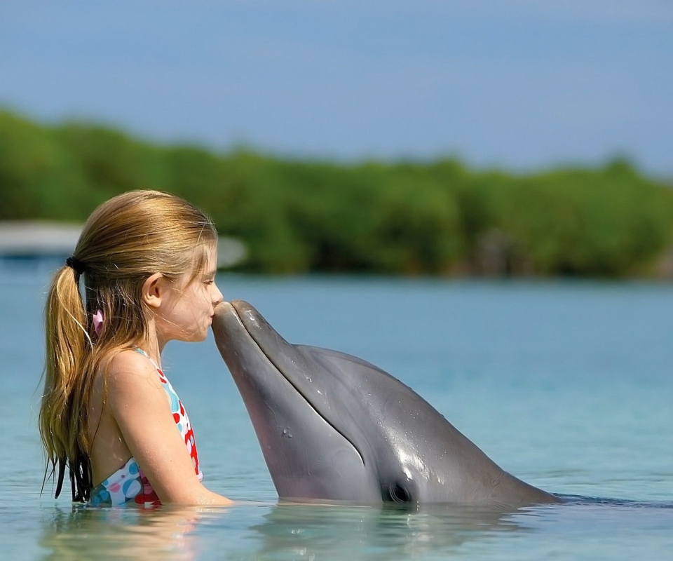 Fondo de pantalla Dolphin's Kiss 960x800