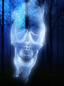 Forest Skull Ghost screenshot #1 132x176