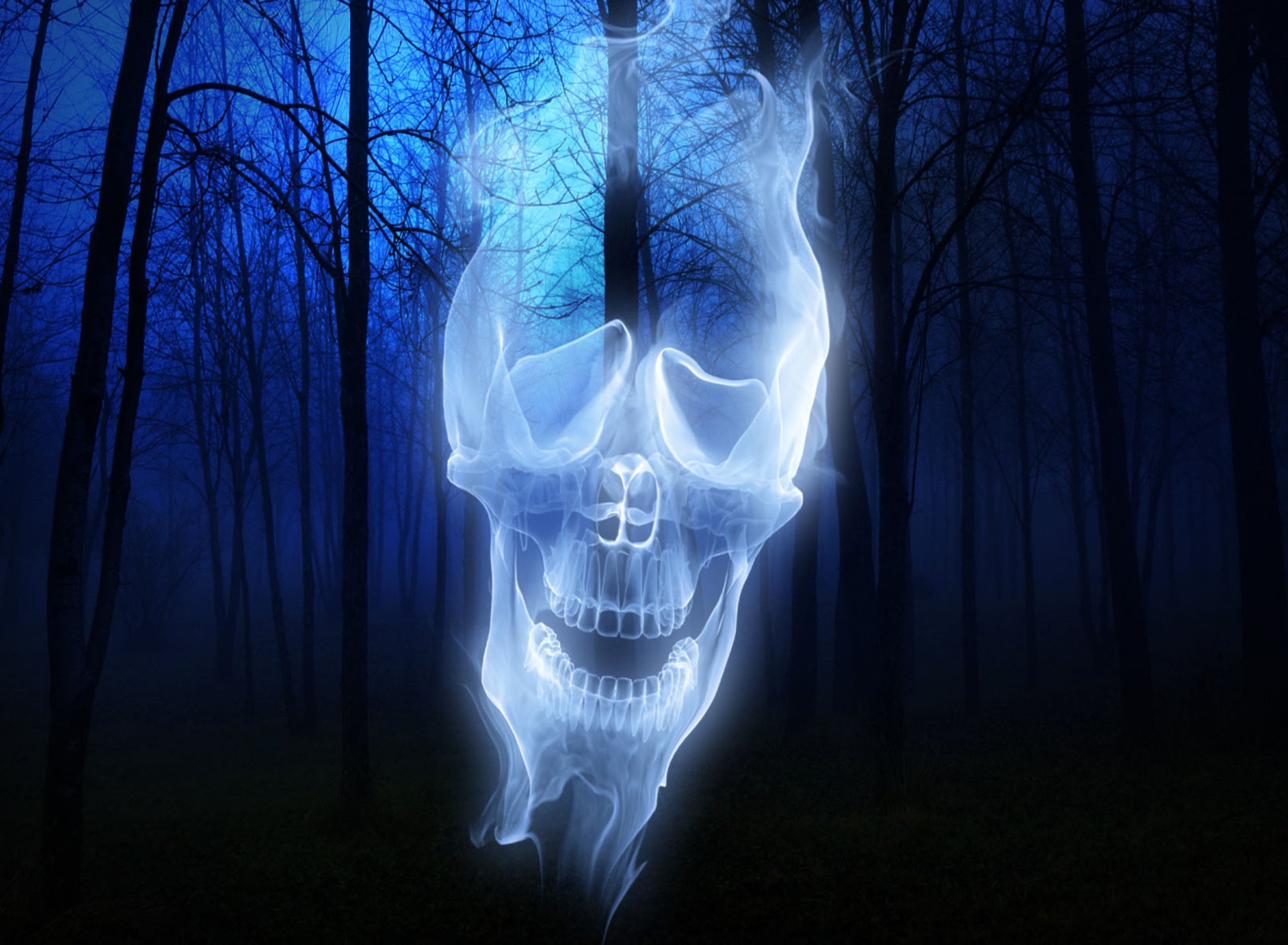 Das Forest Skull Ghost Wallpaper 1920x1408