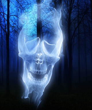 Kostenloses Forest Skull Ghost Wallpaper für Nokia N8