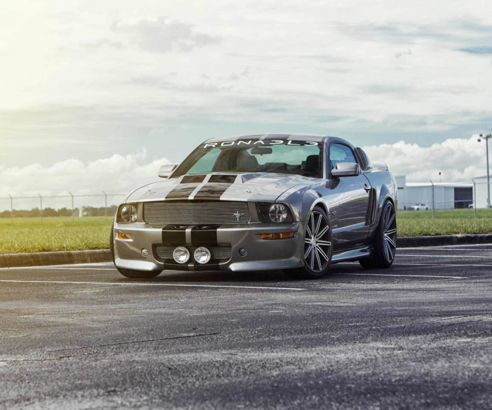 Screenshot №1 pro téma Silver Ford Mustang 960x800