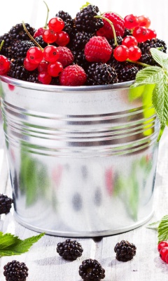 Blackberry, raspberry, currant screenshot #1 240x400