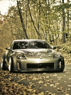 Screenshot №1 pro téma Nissan 350Z 240x320