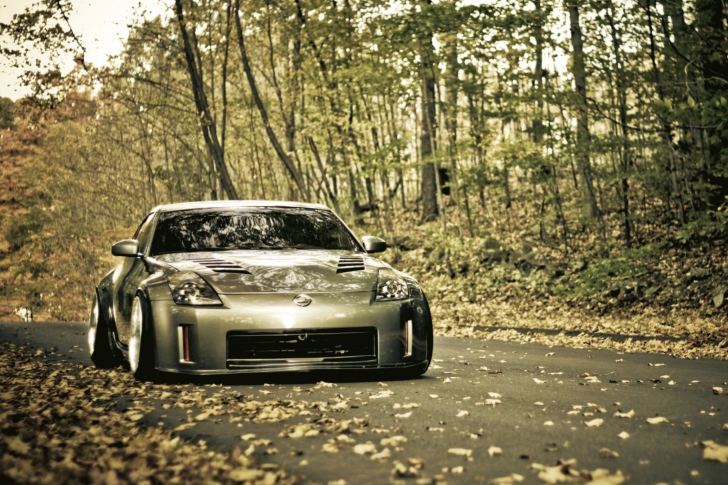 Screenshot №1 pro téma Nissan 350Z