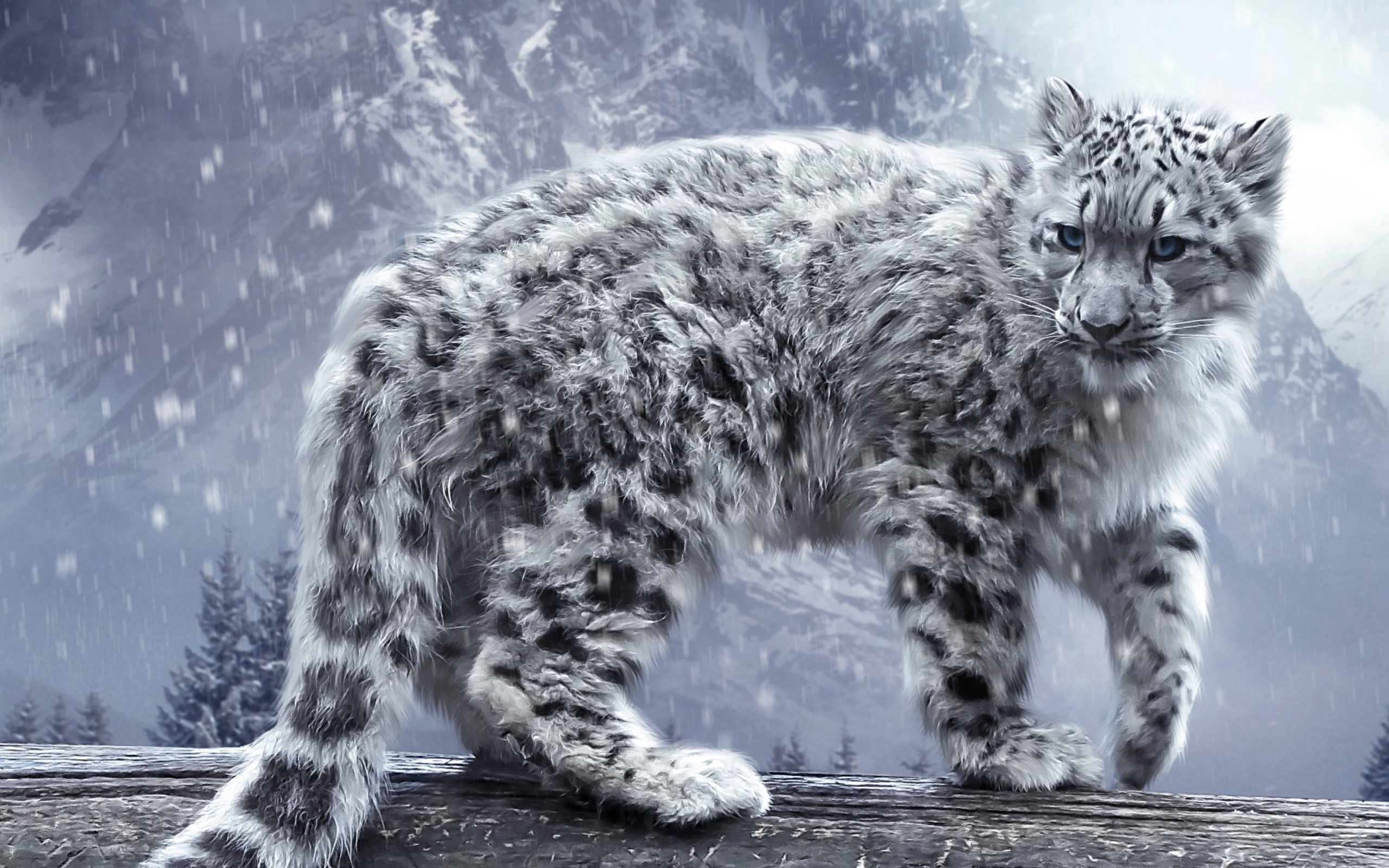 White Leopard screenshot #1 2560x1600