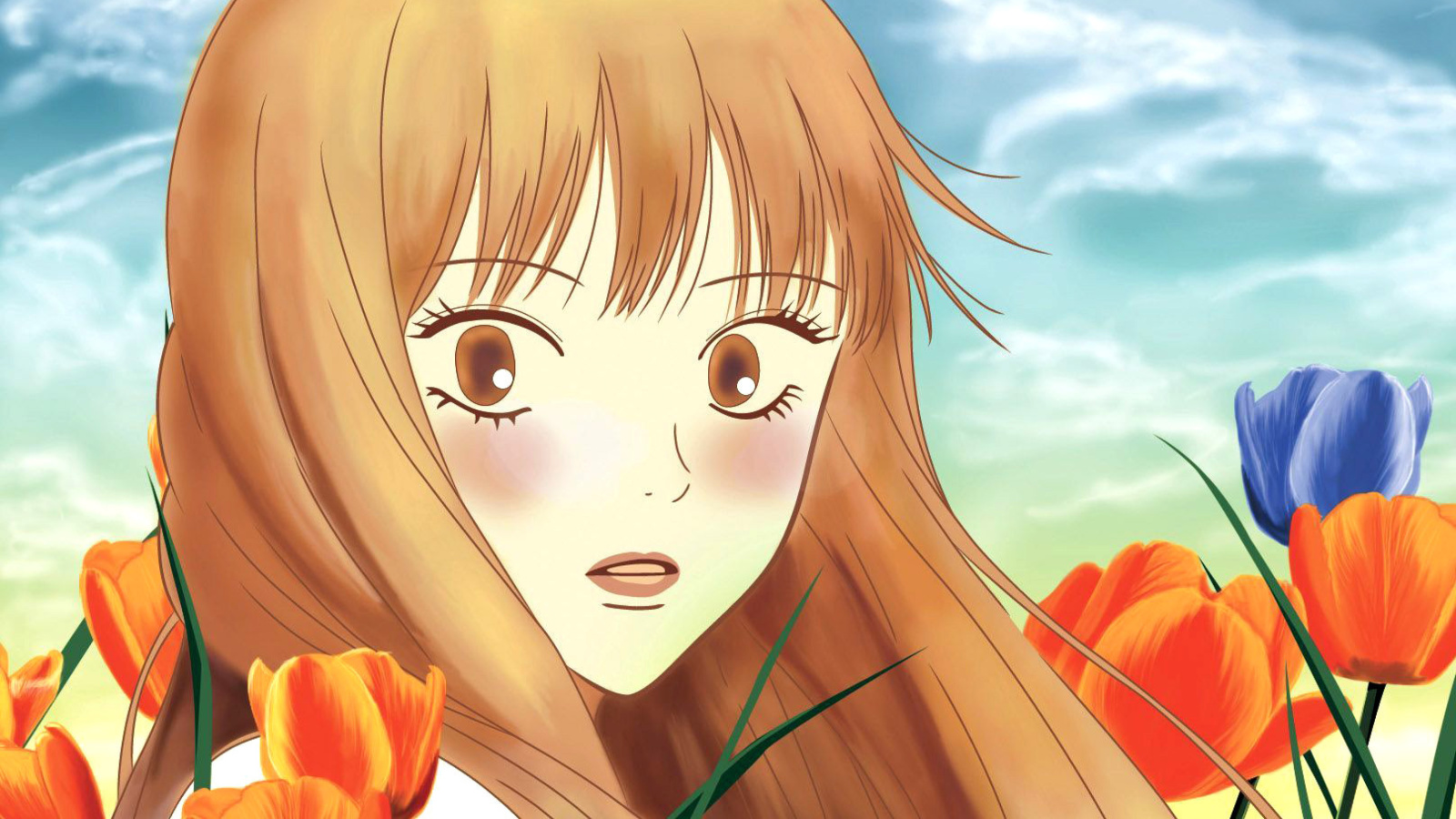 Screenshot №1 pro téma Kimi Ni Todoke 1600x900