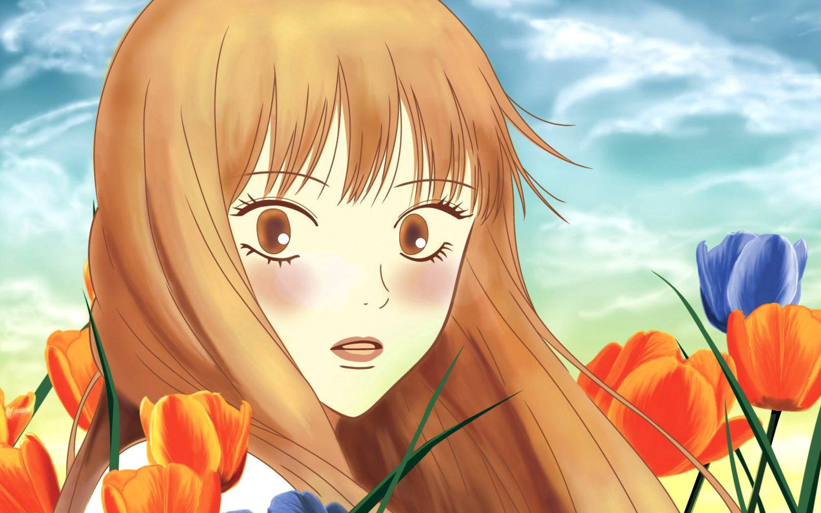 Screenshot №1 pro téma Kimi Ni Todoke 1680x1050