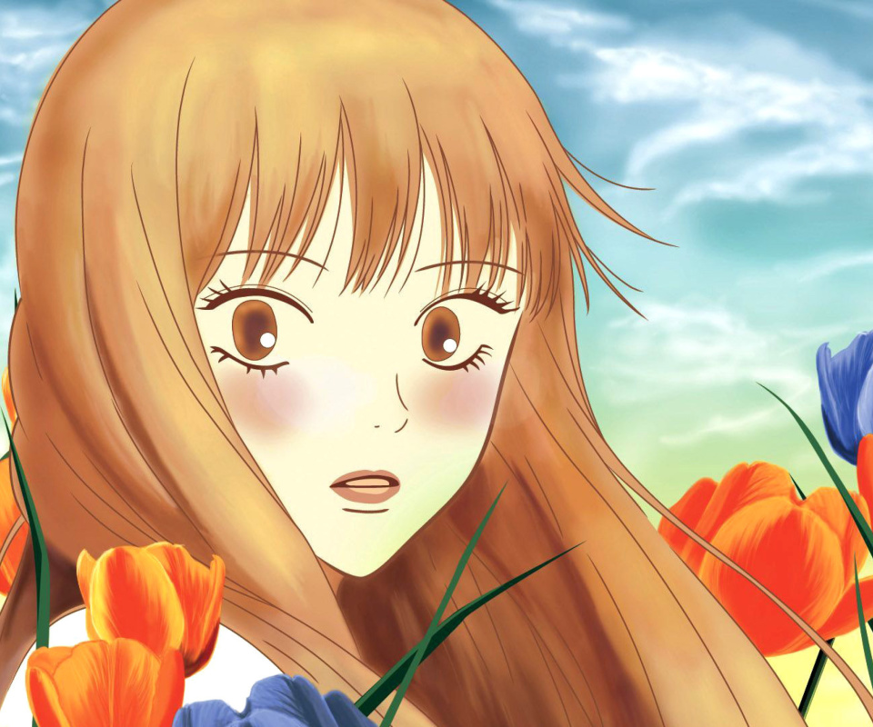 Screenshot №1 pro téma Kimi Ni Todoke 960x800