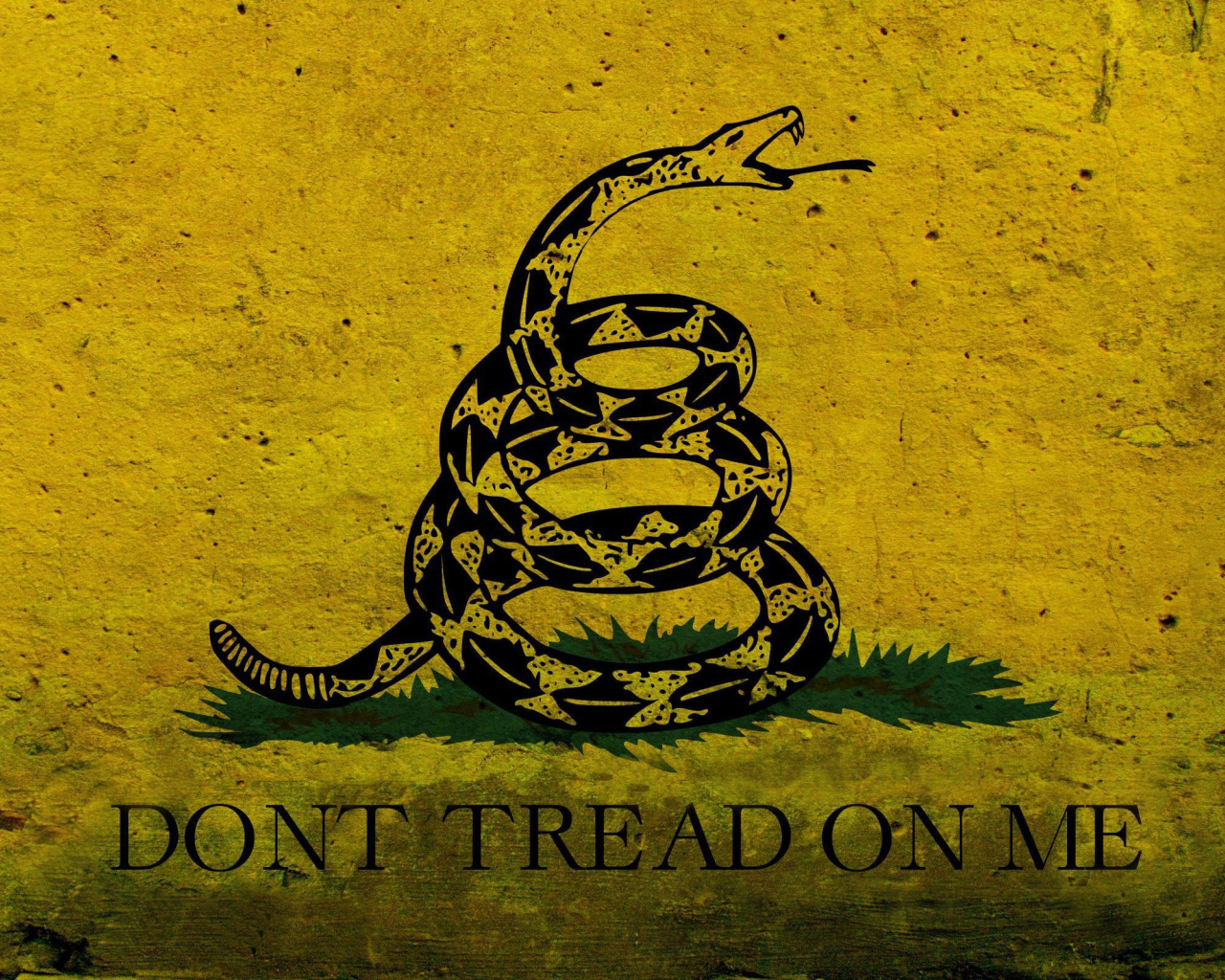 Обои Gadsden flag, Dont tread on me 1280x1024