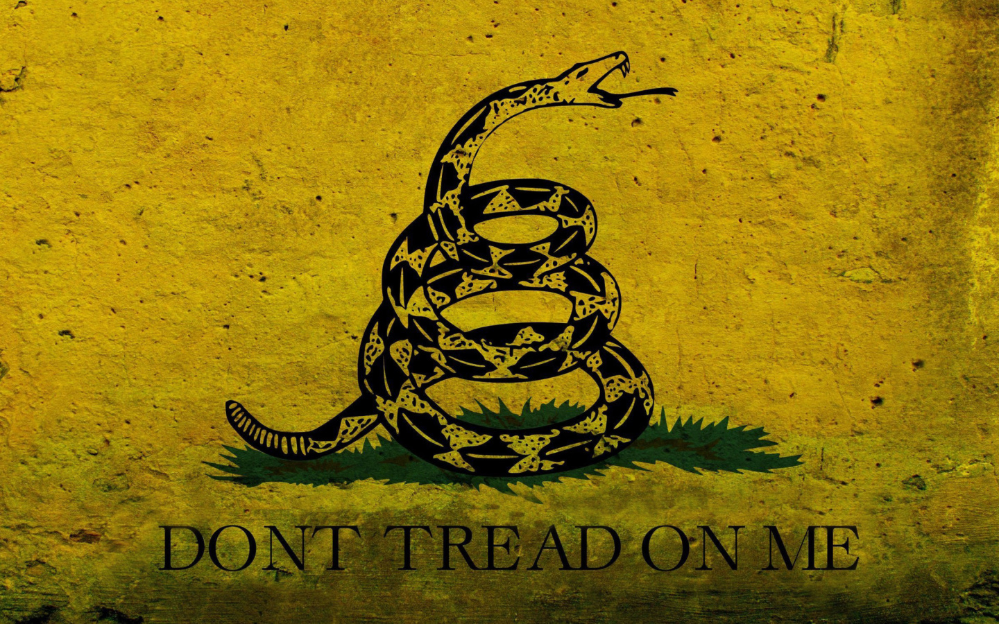 Gadsden flag, Dont tread on me screenshot #1 1440x900