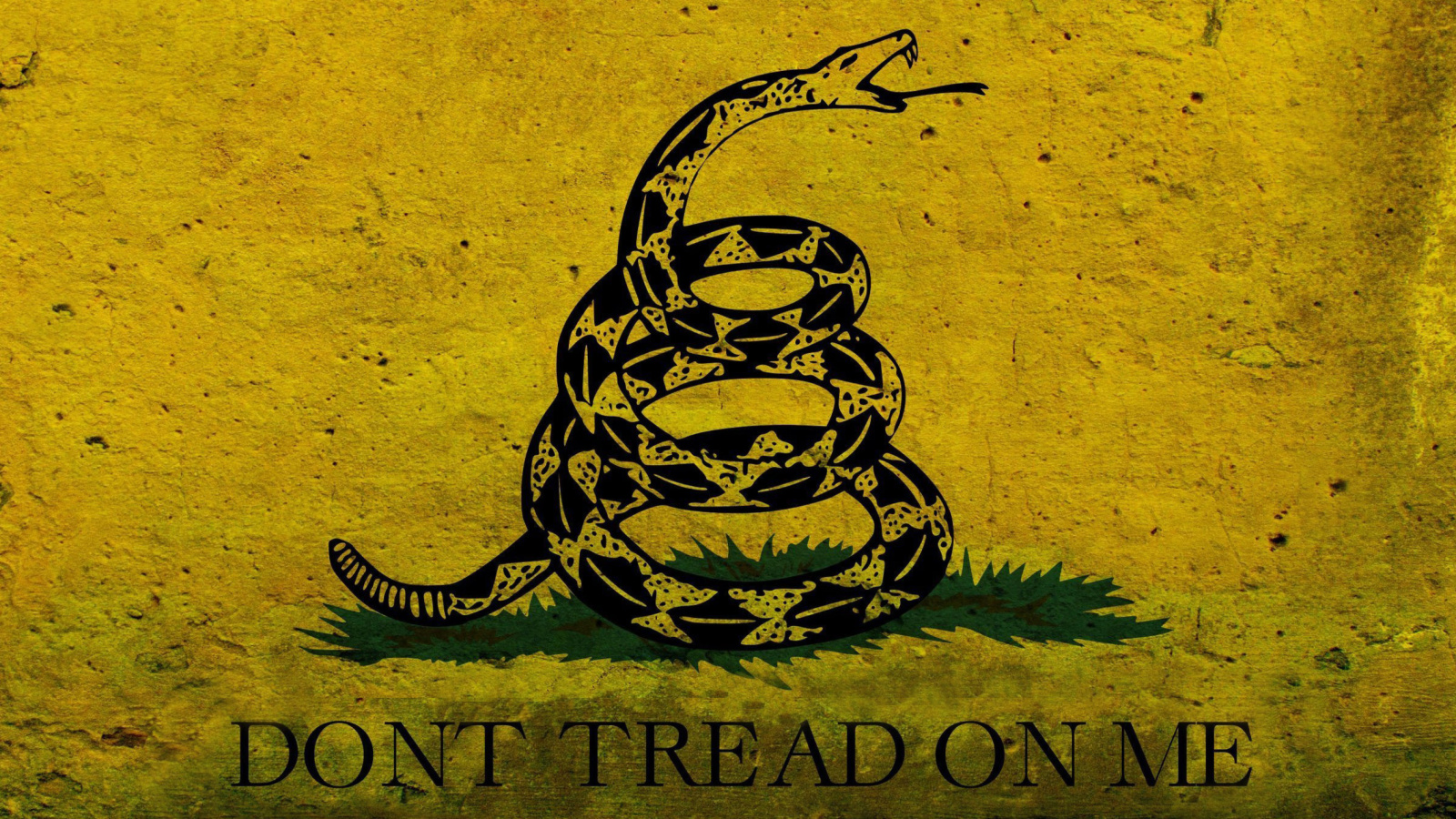 Screenshot №1 pro téma Gadsden flag, Dont tread on me 1600x900