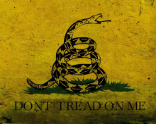 Sfondi Gadsden flag, Dont tread on me 220x176