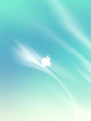 Screenshot №1 pro téma Apple, Mac 132x176