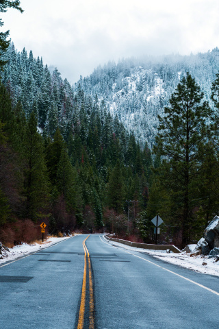 Das Forest Road in Winter Wallpaper 320x480