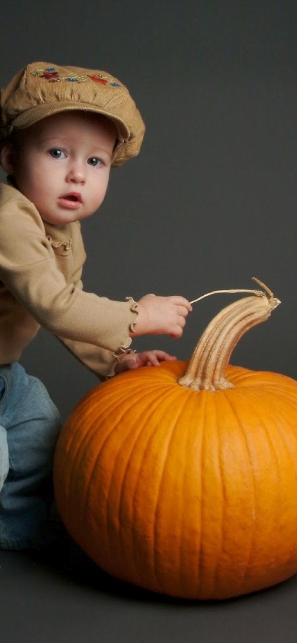 Screenshot №1 pro téma Cute Baby With Pumpkin 1170x2532
