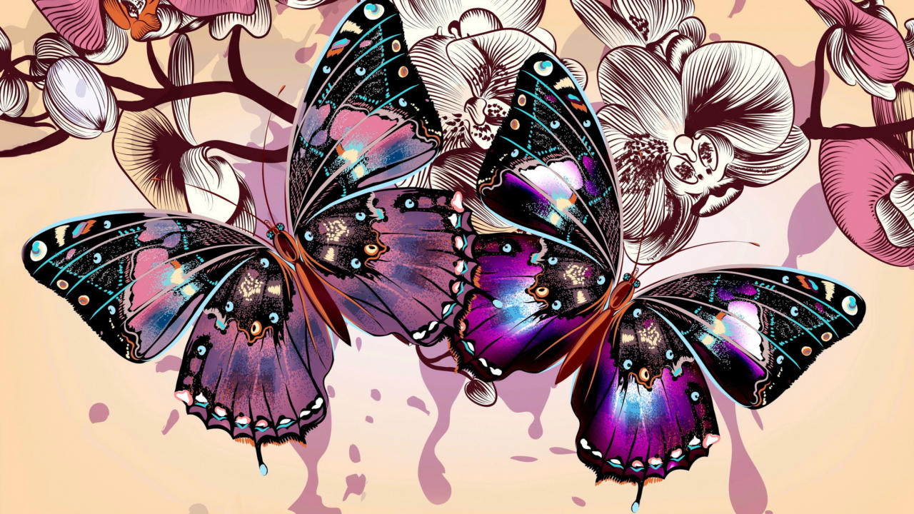 Das Butterflies Wallpaper 1280x720