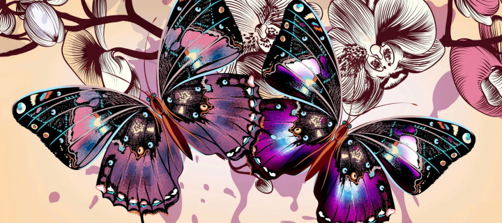 Sfondi Butterflies 720x320