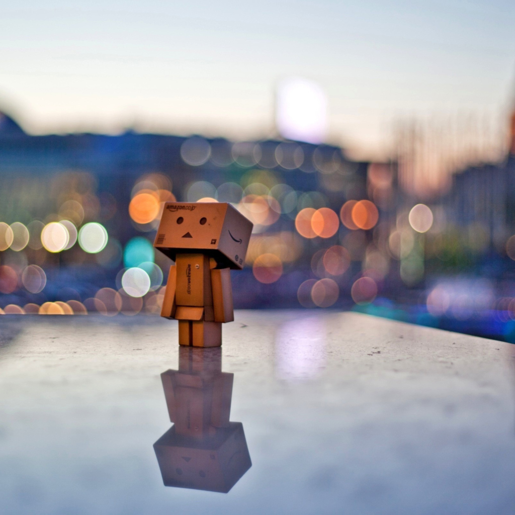 Fondo de pantalla Danbo In The City 1024x1024