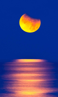Das Orange Moon In Blue Sky Wallpaper 240x400