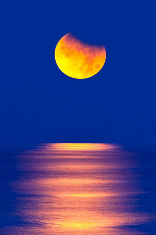 Screenshot №1 pro téma Orange Moon In Blue Sky 320x480