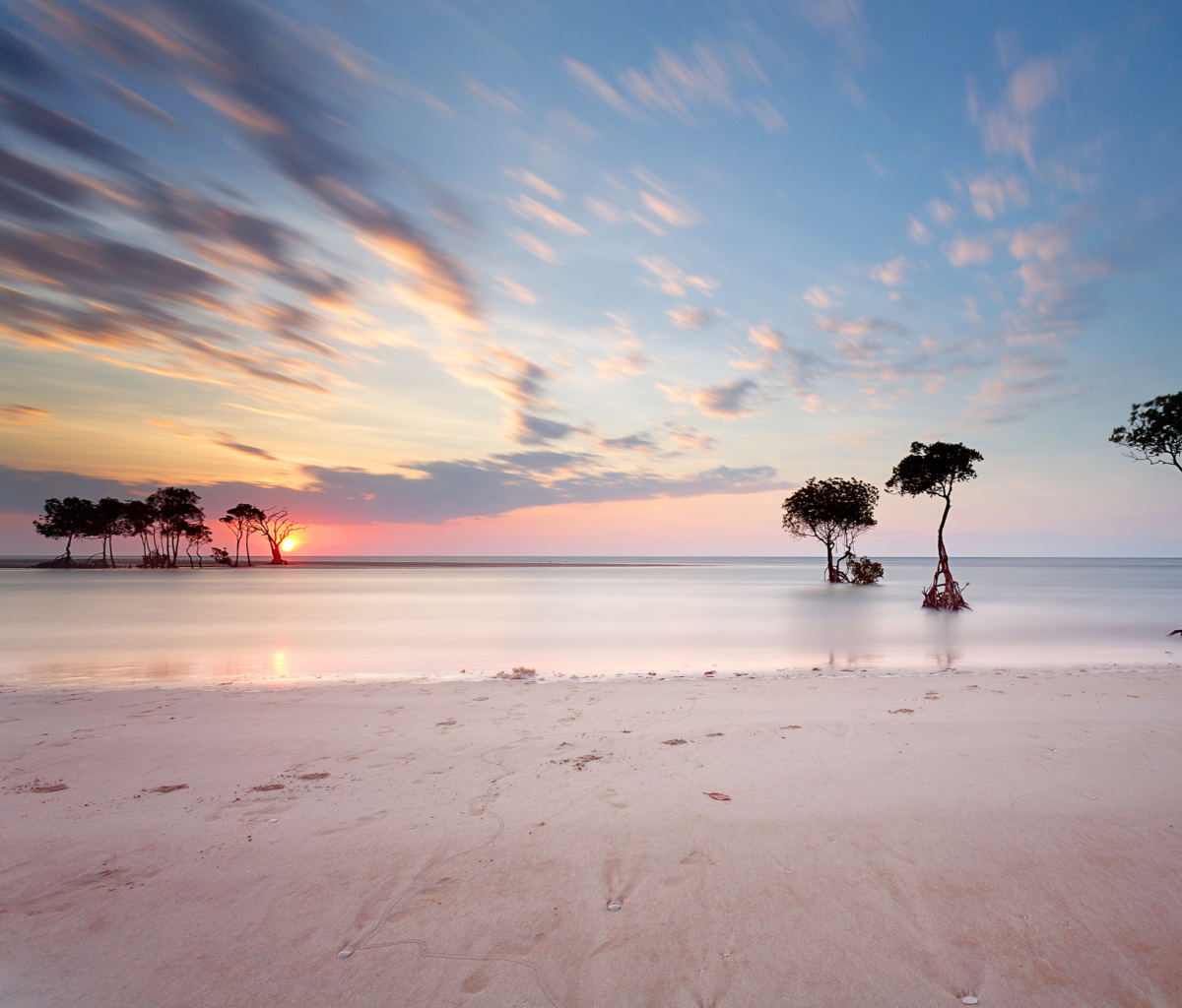 Trees Silhouettes At Pinky Sunset screenshot #1 1200x1024