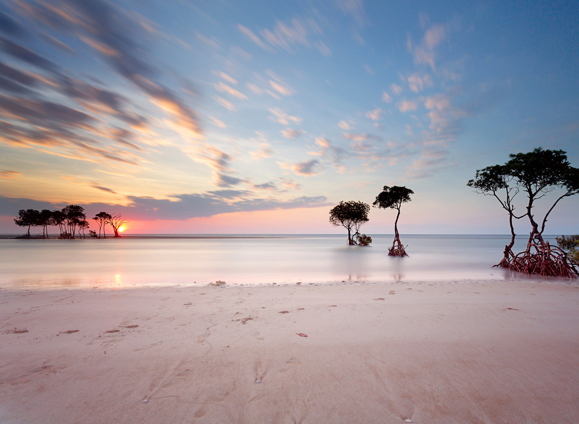 Fondo de pantalla Trees Silhouettes At Pinky Sunset 1920x1408