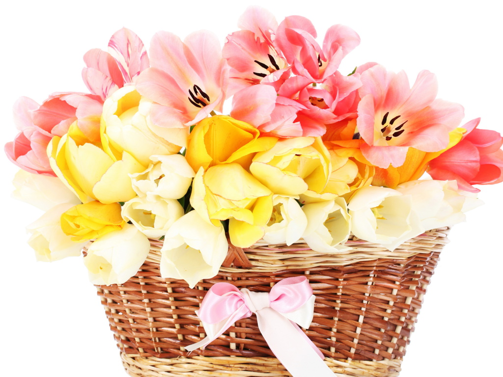 Sfondi Tulips Basket 1024x768