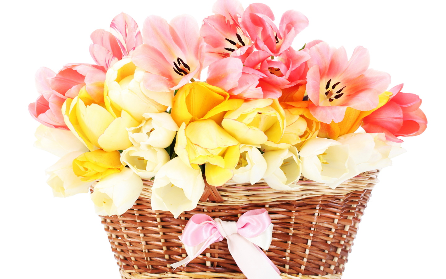 Tulips Basket screenshot #1 1440x900