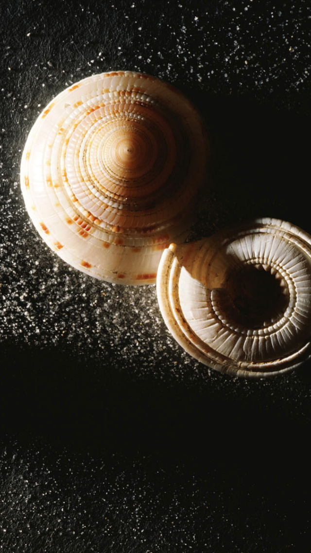 Minimalist Snail wallpaper 640x1136