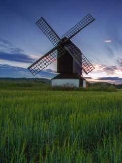 Fondo de pantalla Windmill in Netherland 240x320
